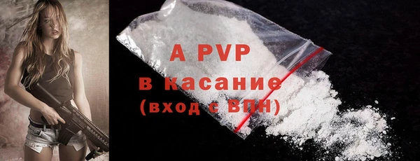 таблы Богданович