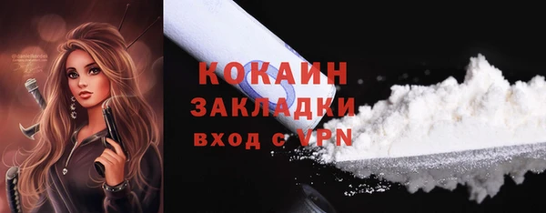 тгк Богородицк