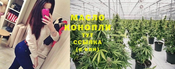 тгк Богородицк
