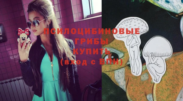 тгк Богородицк