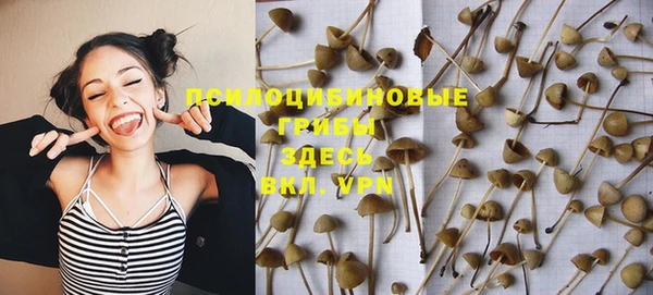 тгк Богородицк